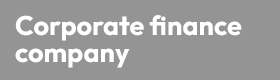 Debt Capital Market Analyst